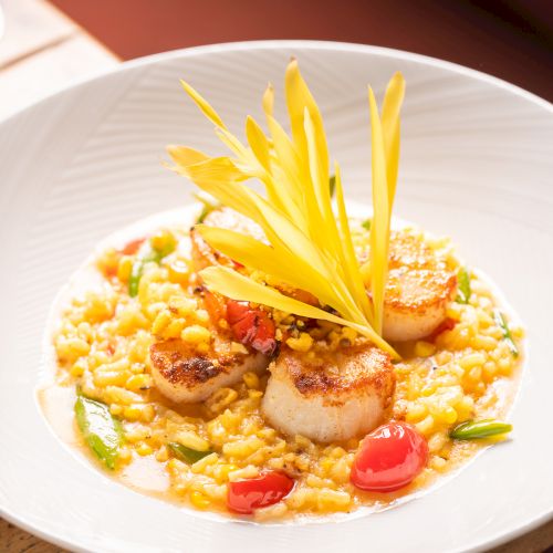A plate of seared scallops over creamy risotto with cherry tomatoes and yellow edible flowers on top.